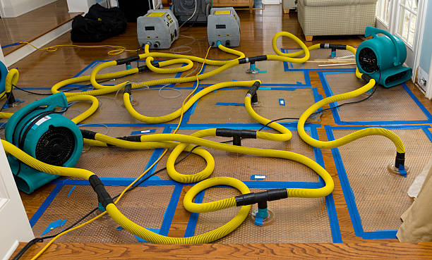 Professional Basement Flood Cleanup technician working in Joint Base Mdl, NJ